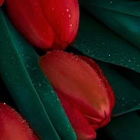 all