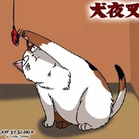 Người đứng phía sau