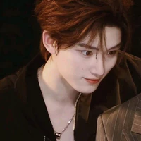 Đinh Trình Hâm_anh