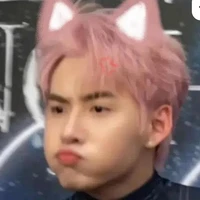 gemini hùng huỳnh