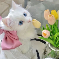 hệ thống