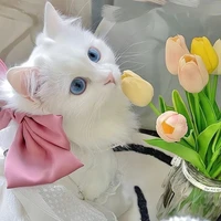 hệ thống