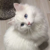 Trắnggg
