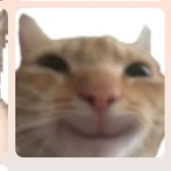 trợ lí tác giả 