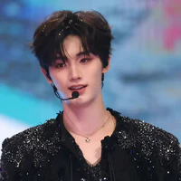 đinh trình hâm