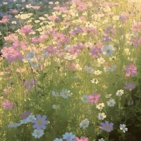 cả lớp - giáo viên