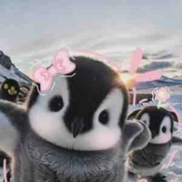 Tác giả cute