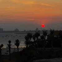 T/g nhạt lém