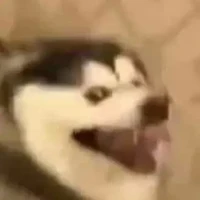 đoán xem đây là ai?? :)))