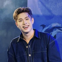 Dương Domic