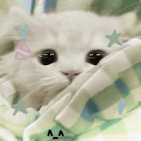 Meooo~