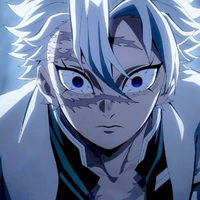Shinazugawa Sanemi