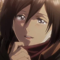 Mikasa