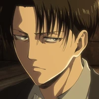 levi
