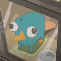 -Bị mê Perry🐧-//t/g// 
