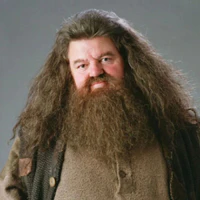 Rubeus Hagrid