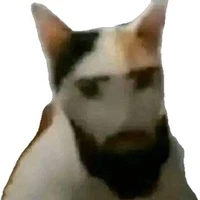 gọi anh dep tri đi