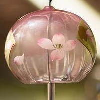 NVP Nữ