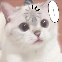 t/g zô trị nè