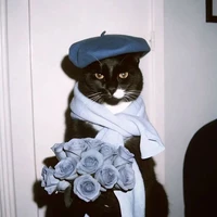 NILL - QUẾ TỬ - TÁC GIẢ