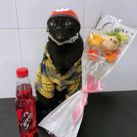 Tác giả đẹp trai