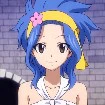 levy