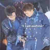 Đoá Hoa Hồng của An❤️