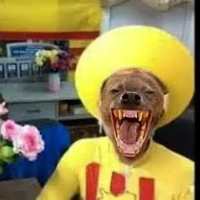 ba que phế vật