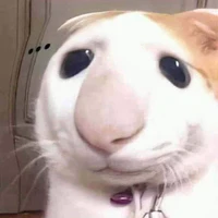 T/G
