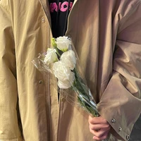 Tác giả lười viết truyện