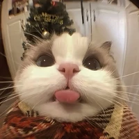 Tác giả:))
