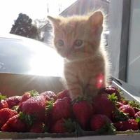 @𝙩𝙣𝙢𝙠𝙚.