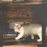 @𝙘𝙝𝙣𝙢𝙖𝙝.