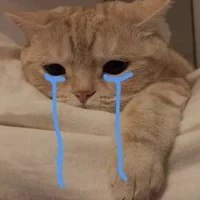 ° Jack_Jason ° - Chồng Violet