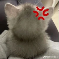 Tác Giả