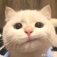 nhỏ cầm đầu chuyện là tao (t/g)