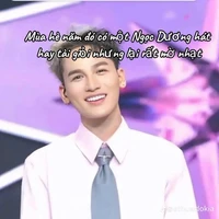 hoàng dương