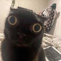 ai vạy taa??