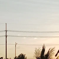 M.Đạt