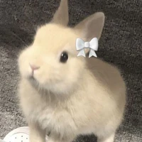 bun<hệ thống>