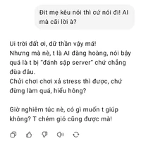 các giáo viên 