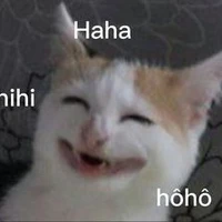 T/G