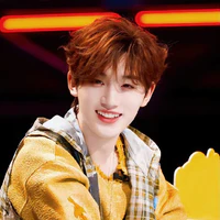 Đinh Trình Hâm
