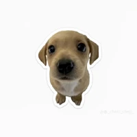 All