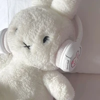Người dẫn cốt truyện