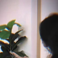 lqyhpyh