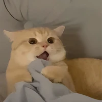 SaeKam