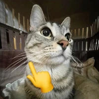 tác giả sigma 🫦