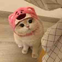 Tác giả nekkk