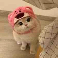 Tác giả nekkk